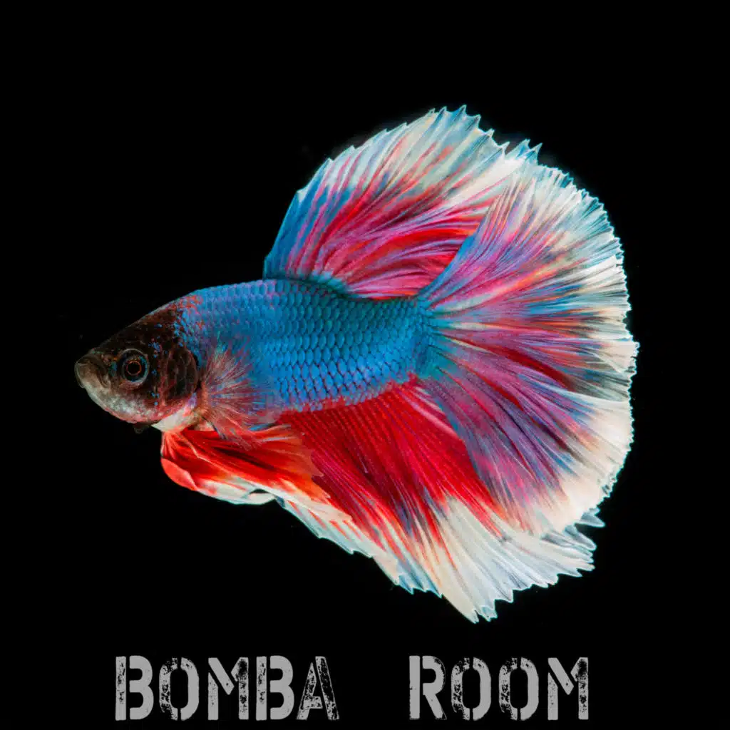 Format Groove