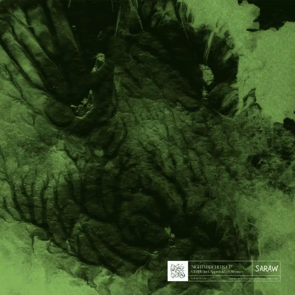 Cerbu