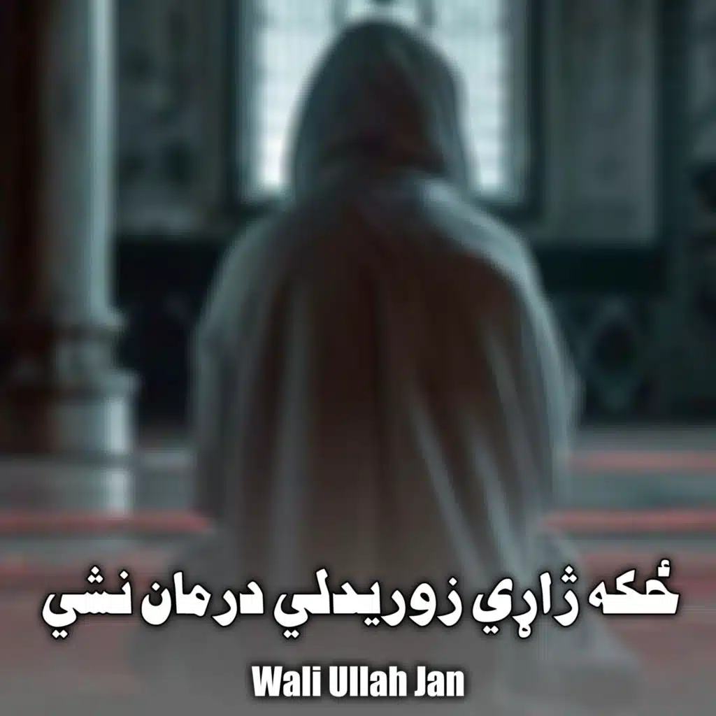 Wali Ullah Jan