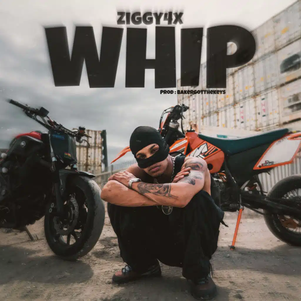 Ziggy4x