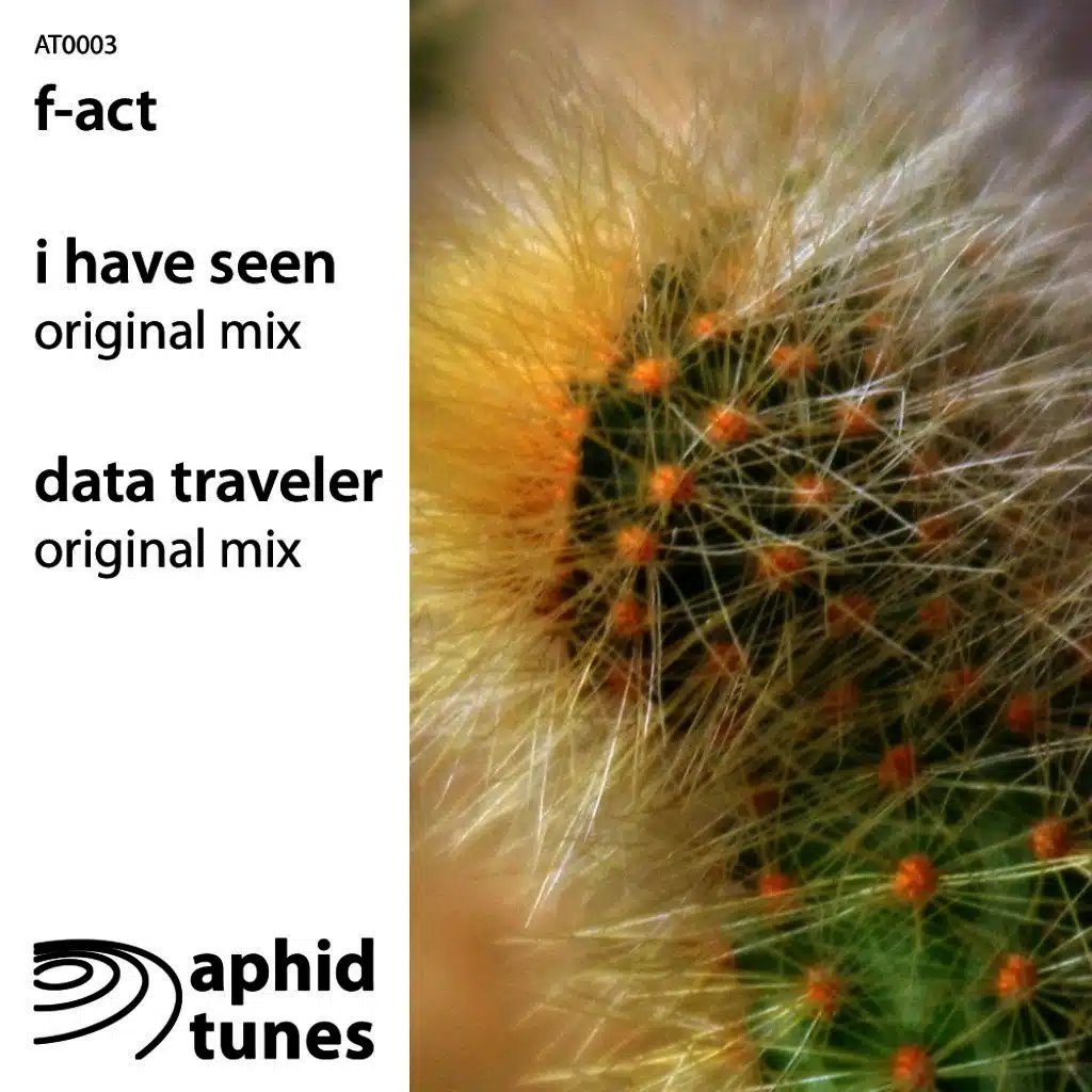 I Have Seen / Data Traveler