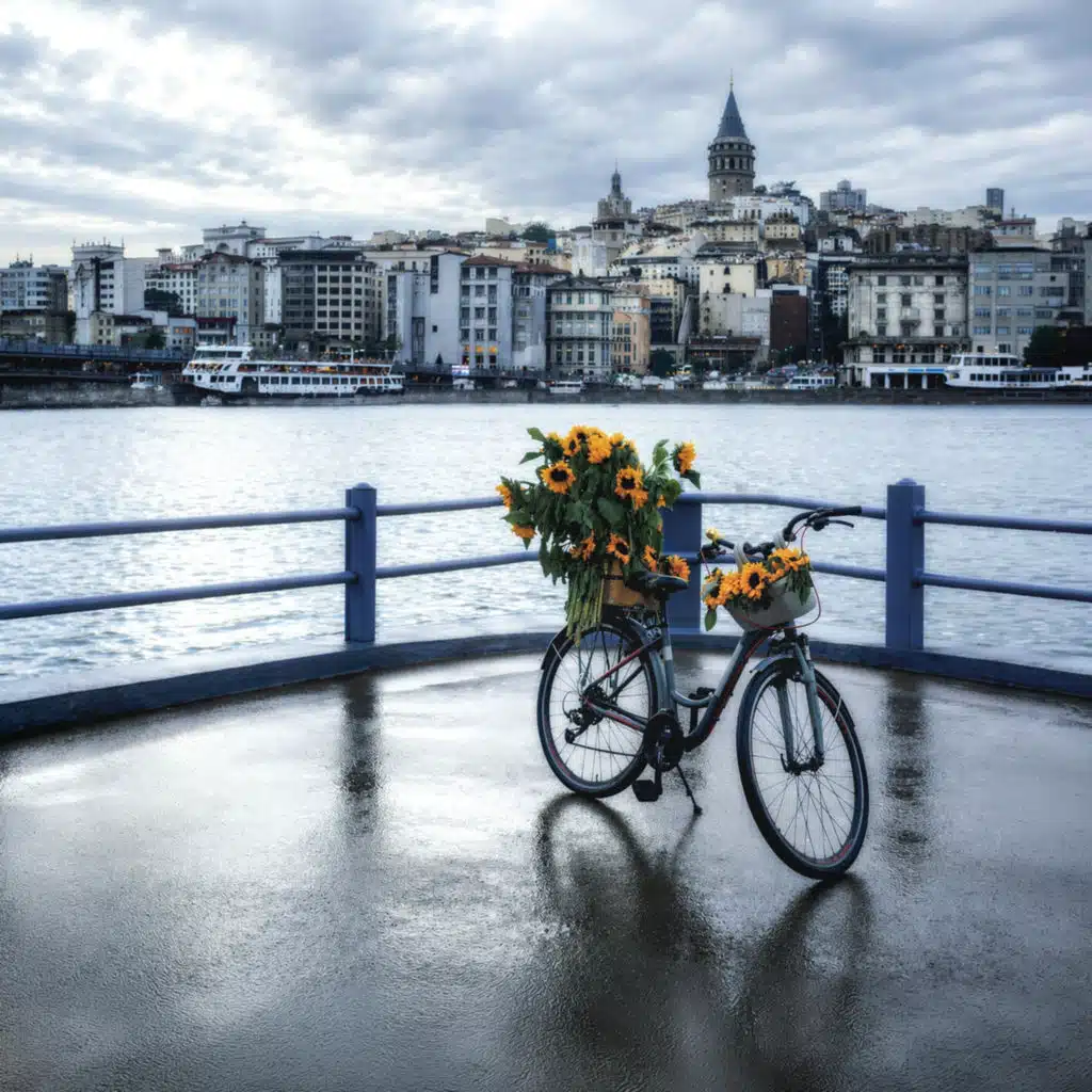 Yine Seni Severdim