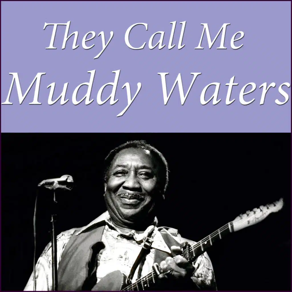 In Concert (They Call Me Muddy Waters Collection)