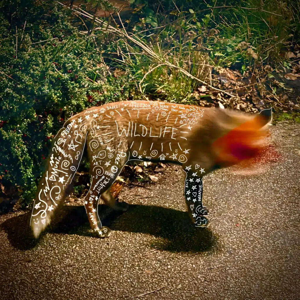 Wildlife