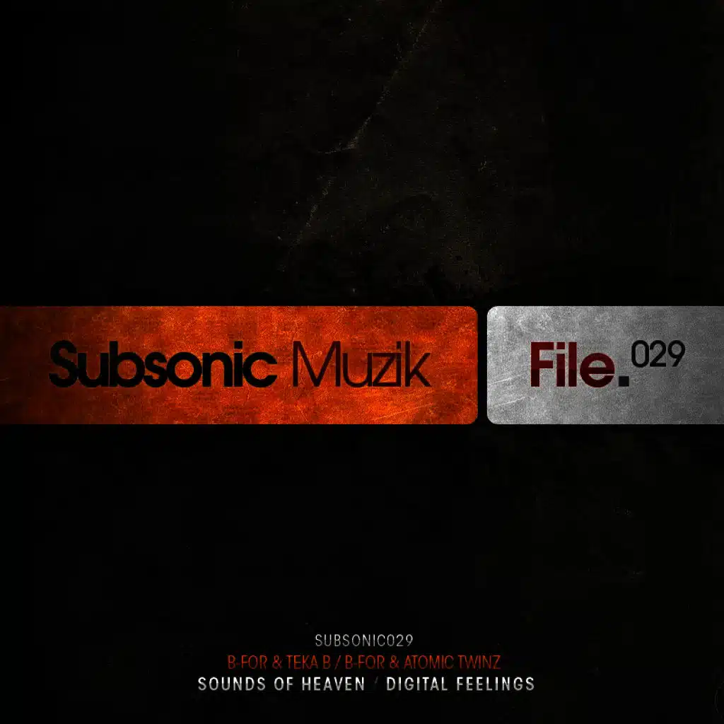 Sounds of Heaven / Digital Feelings