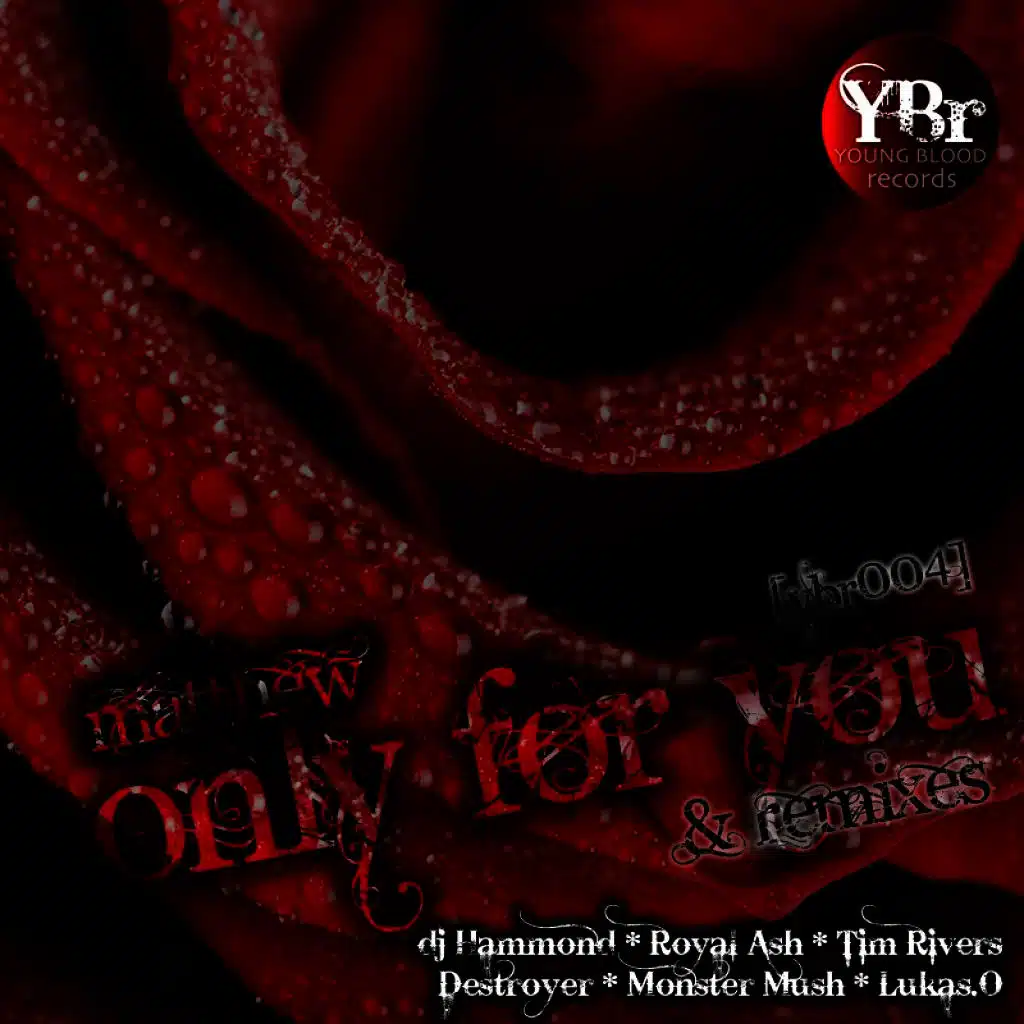 Only For You (Lukas.O Remix) [Lukas.O Remix]