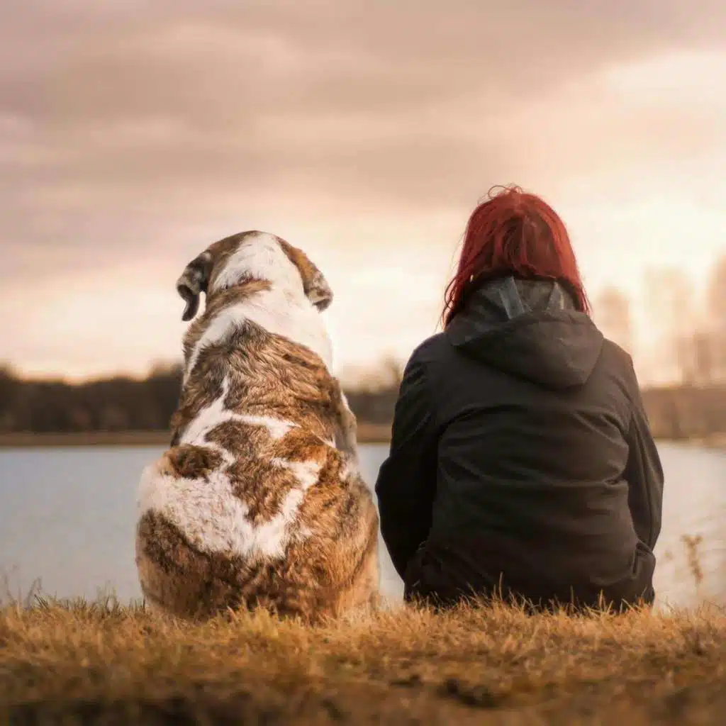 #11: What do you feed your pets?