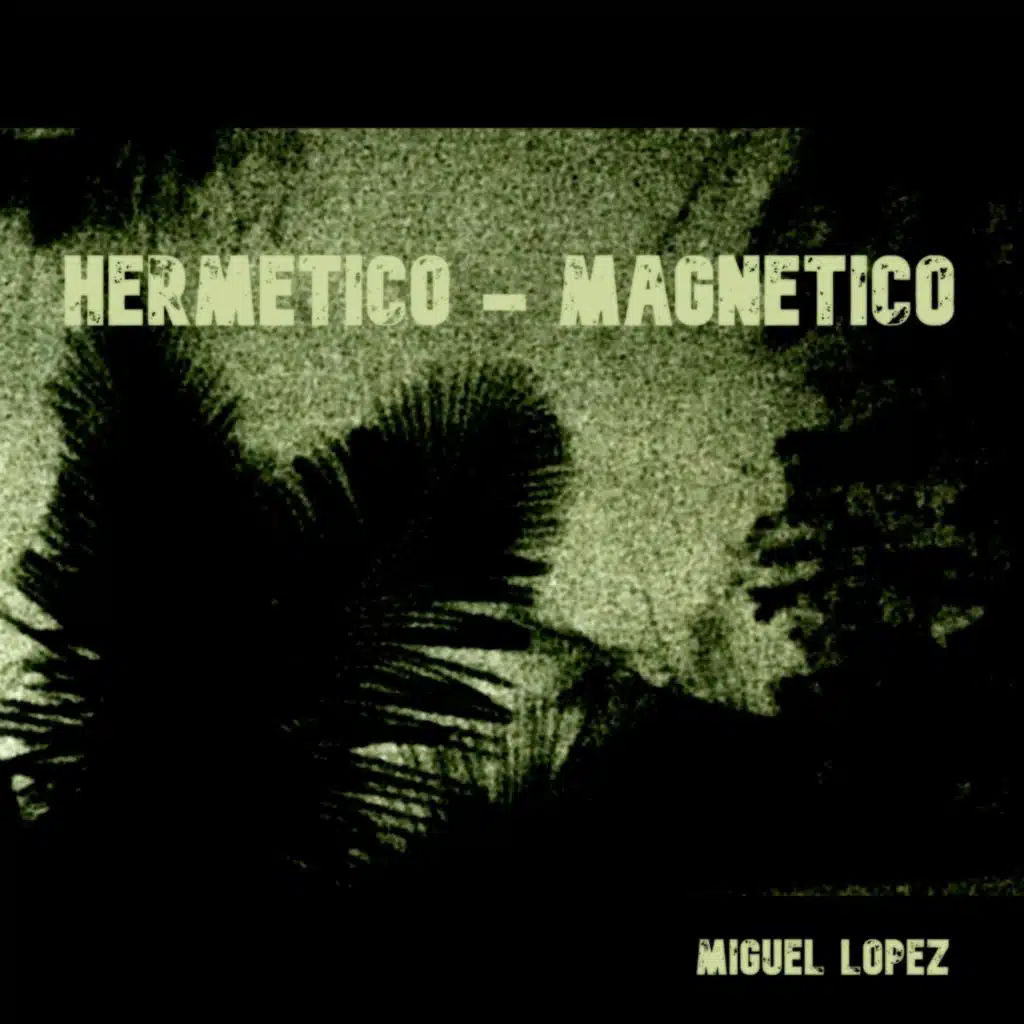 Hermetico-Magnetico