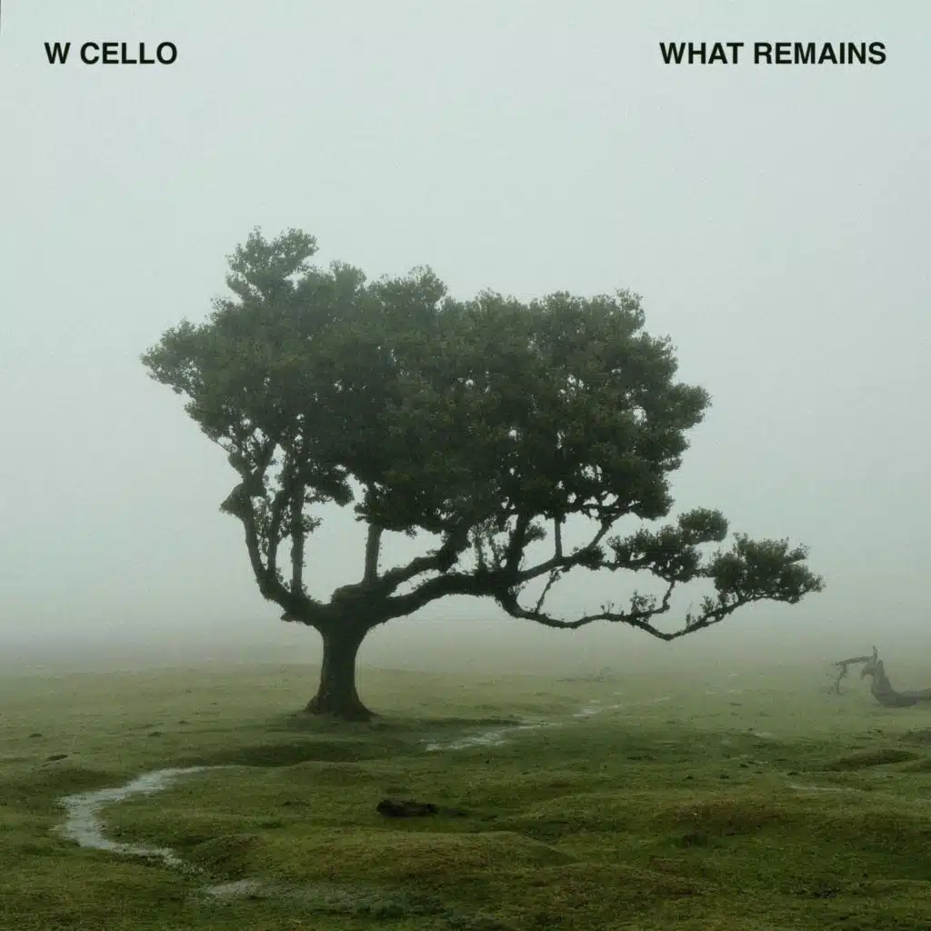 W CELLO
