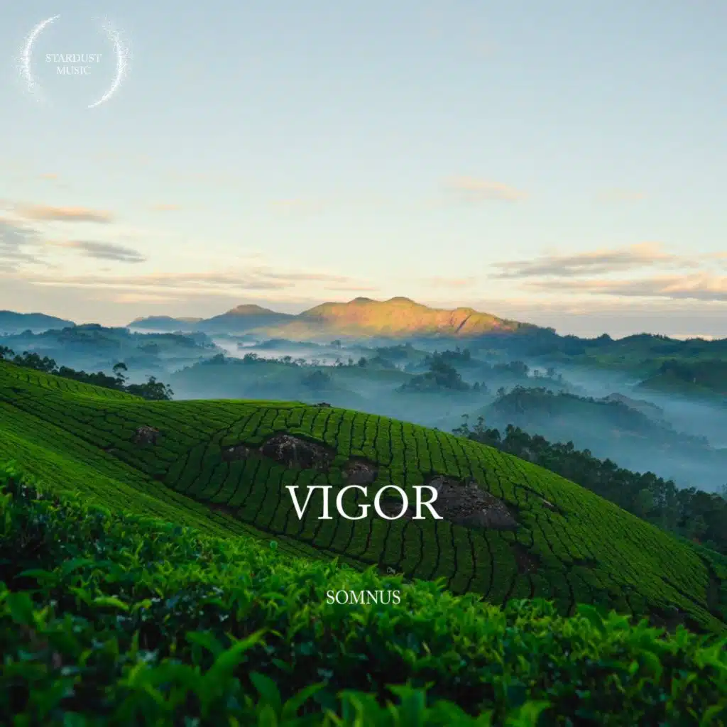 Vigor