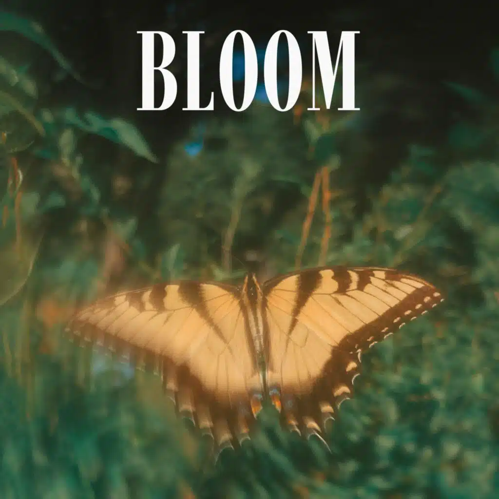 Bloom