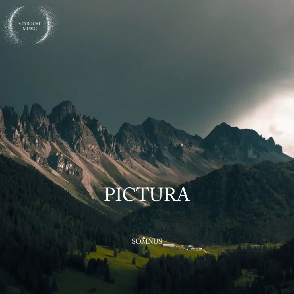 Pictura