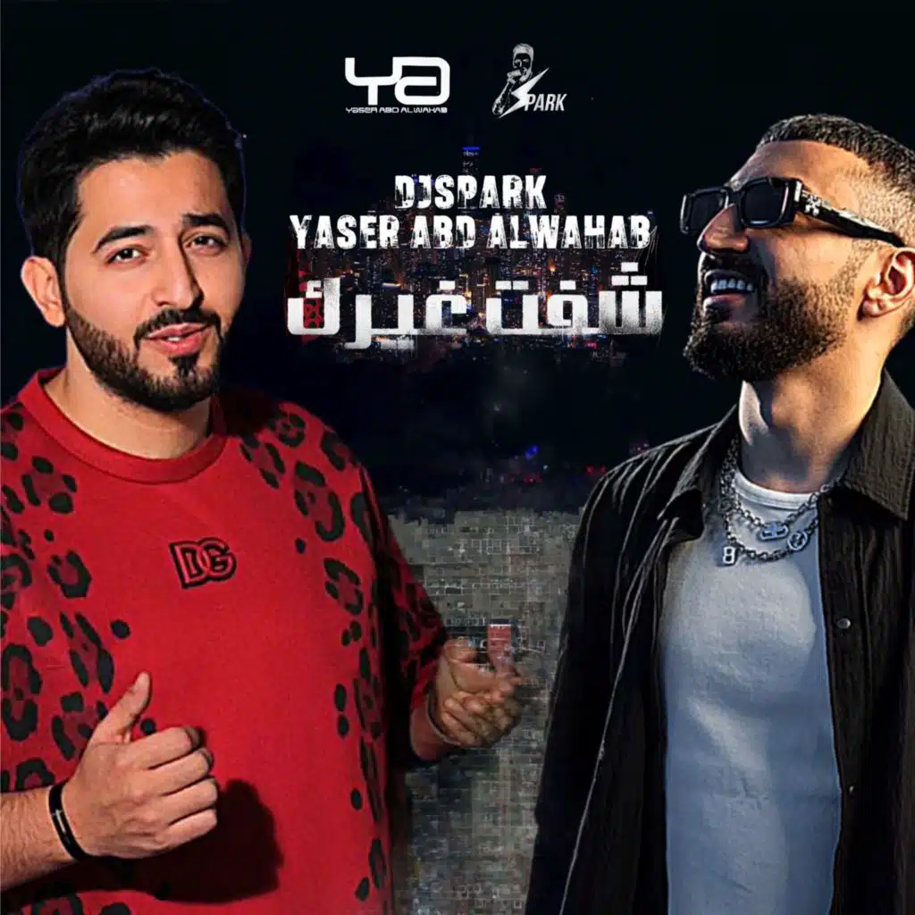 شفت غيرك ( ريمكس ديجي سبارك )