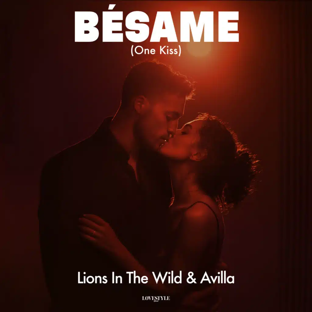 Lions In The Wild & AVILLA