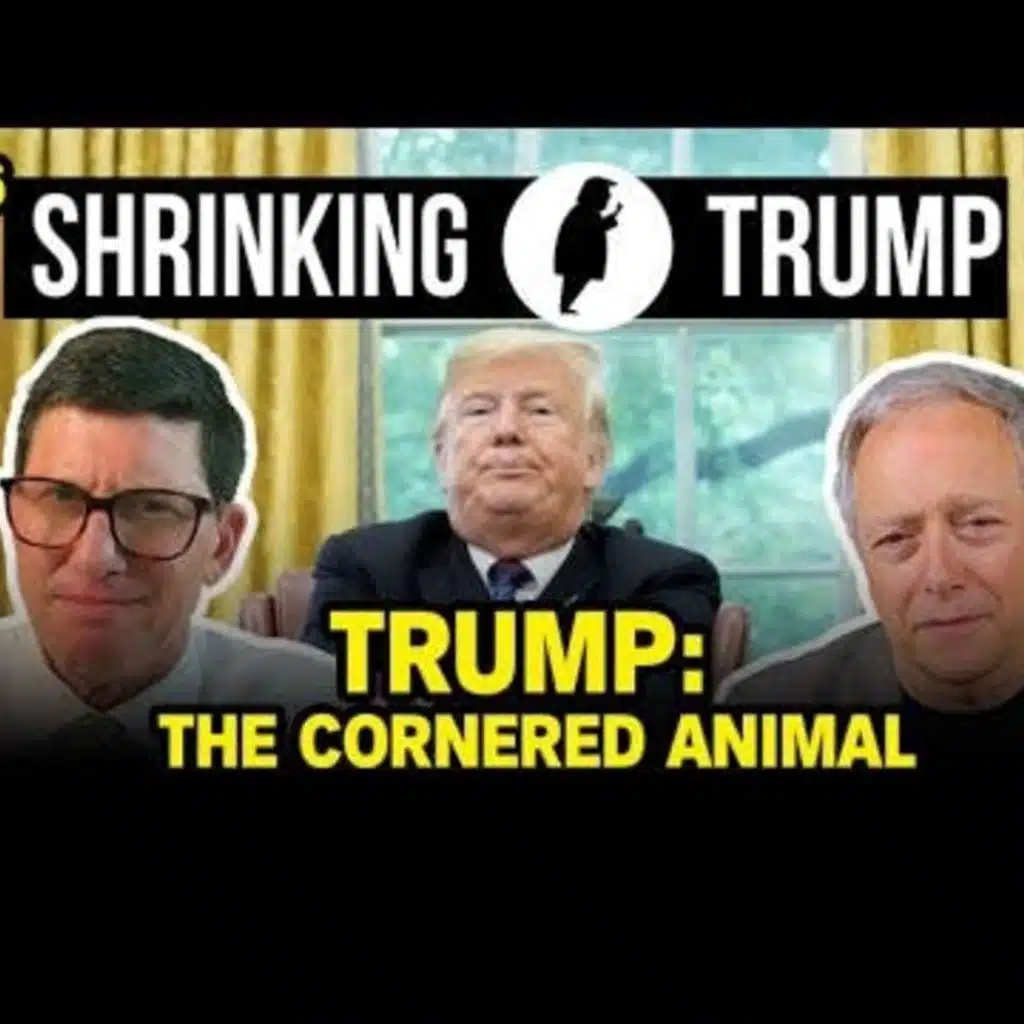Epstein Files Frenzy and Court Losses Fuel Trump’s Collapse