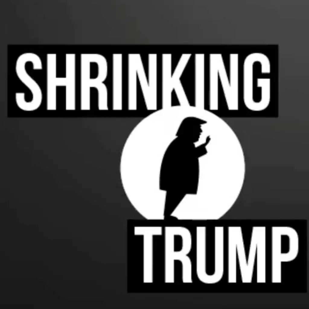 A Deep Look at Trump's Cognitive Cracks and Courtroom Hacks
