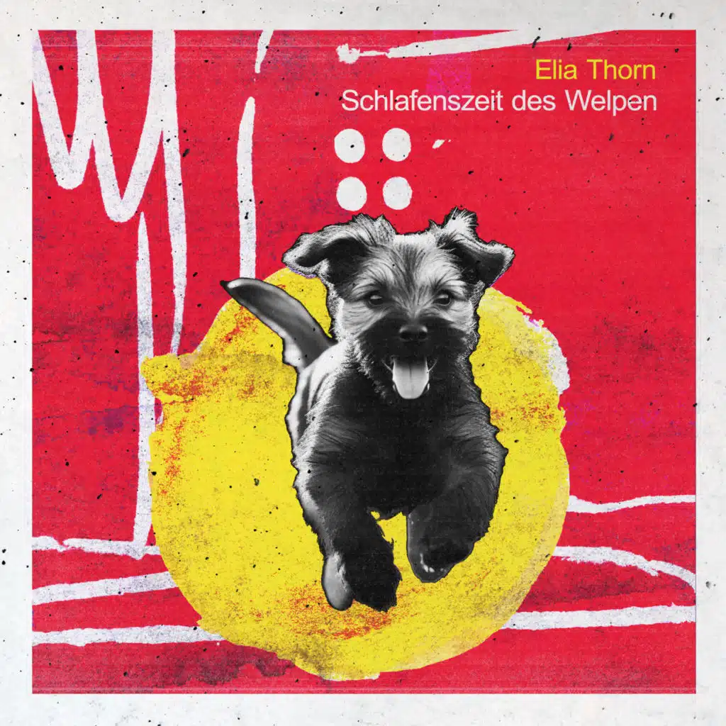 Elia Thorn