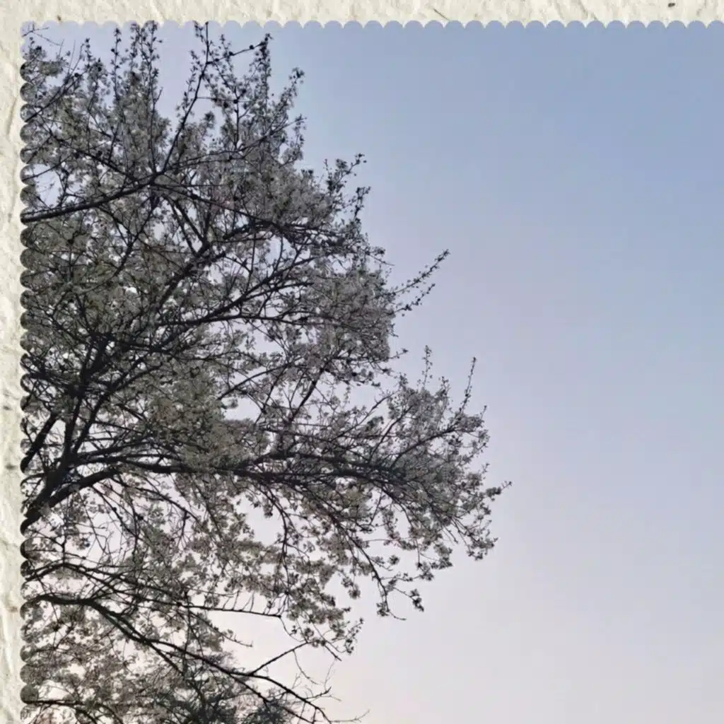 stream_error