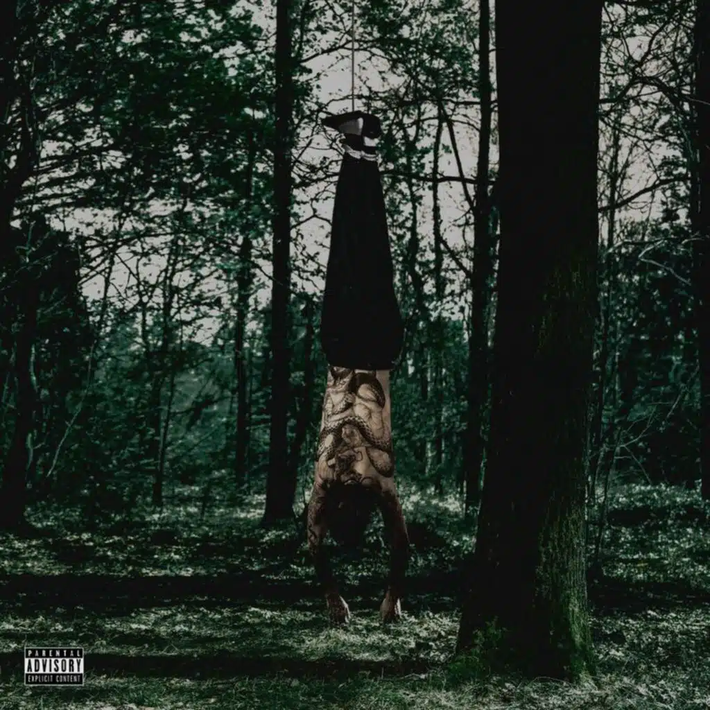 Faser
