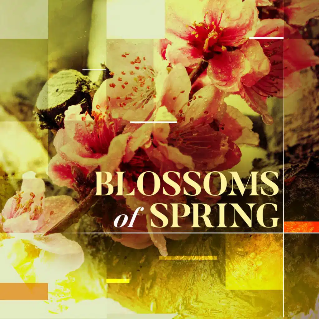 Blossoms of Spring