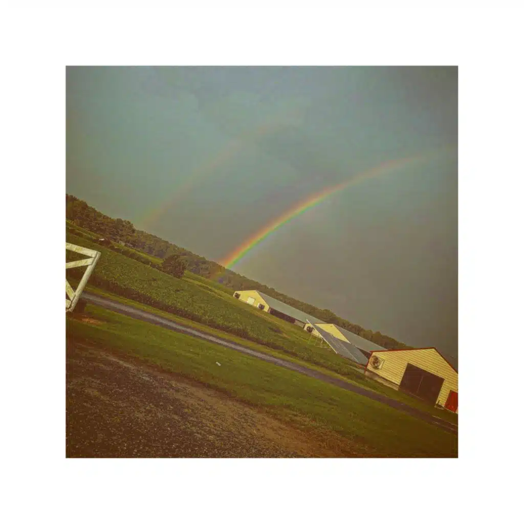 More When im Gone