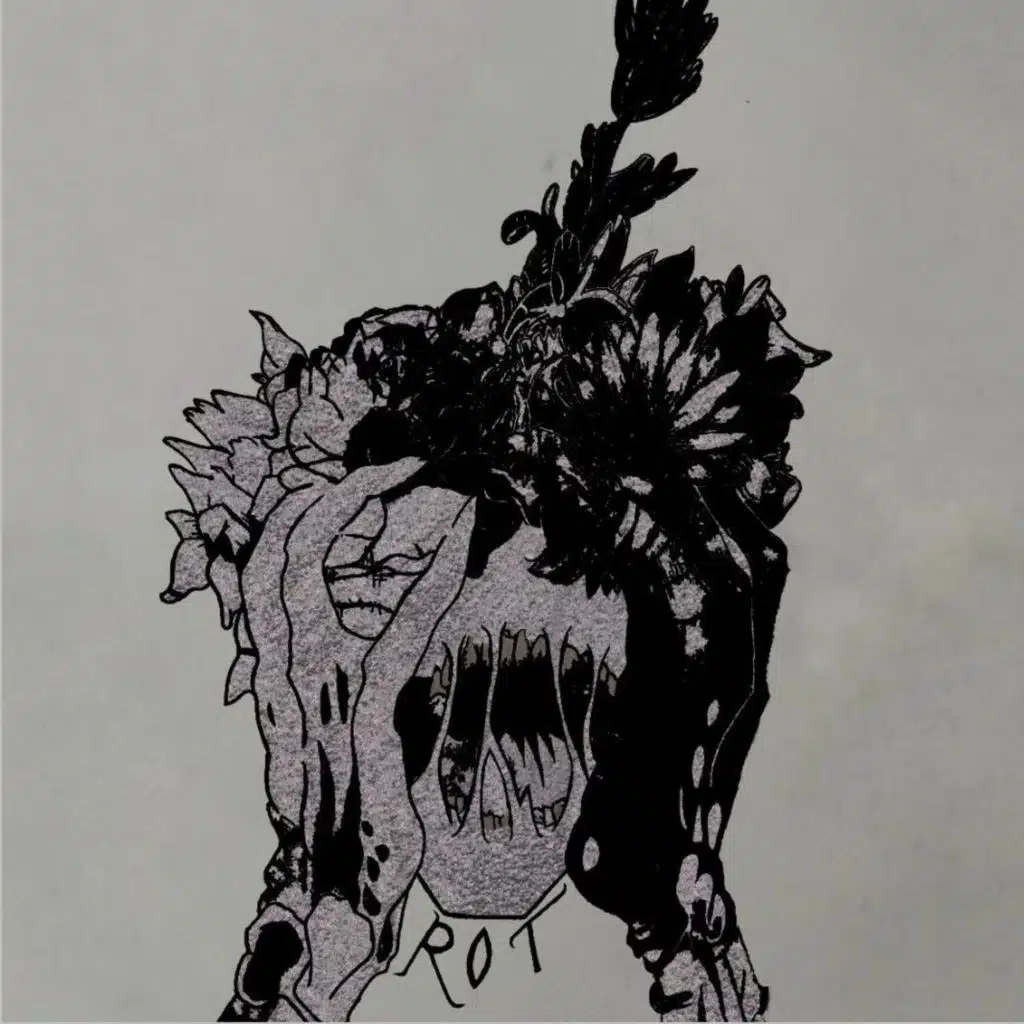 Rot