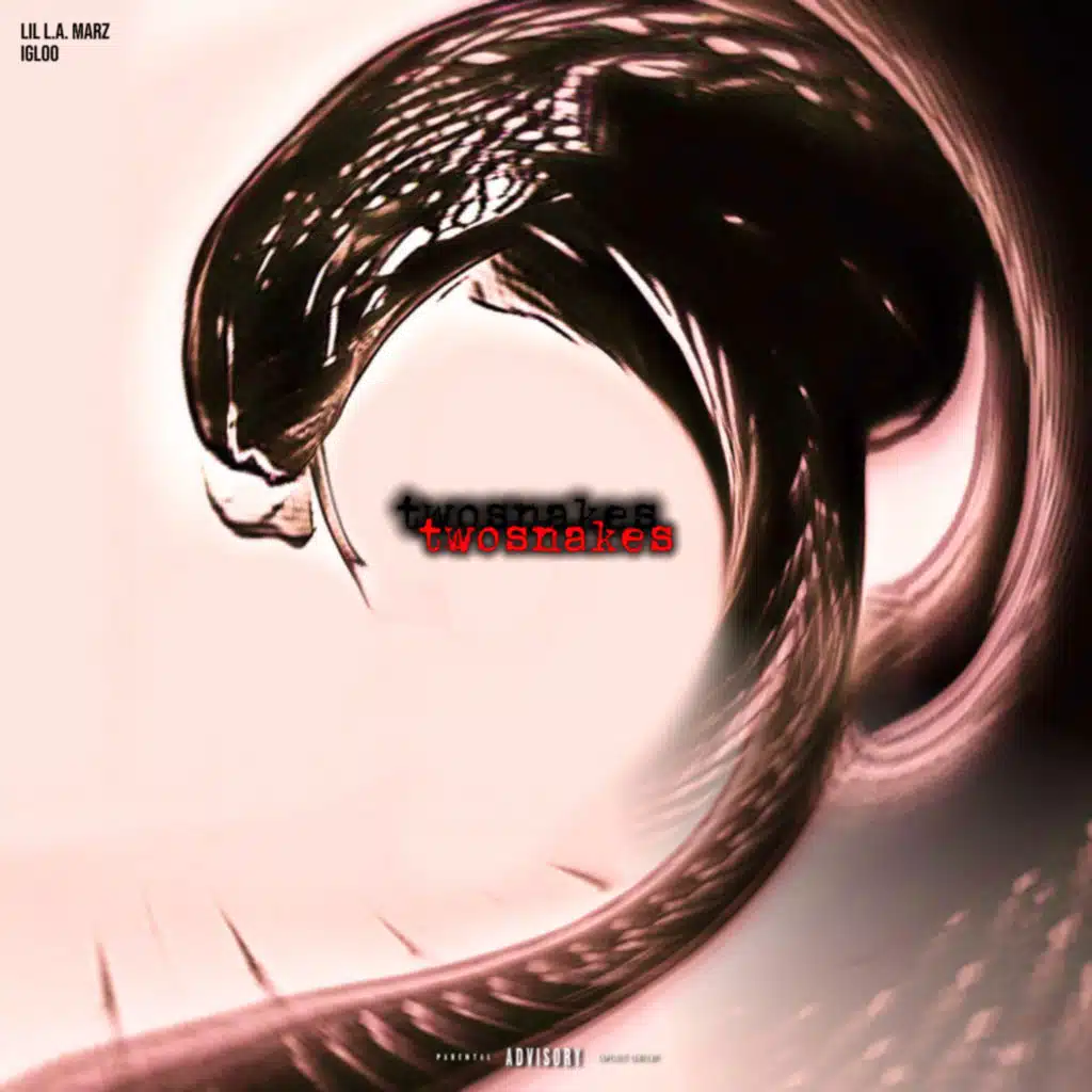 twosnakes