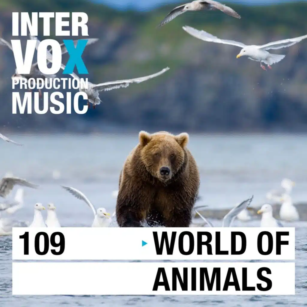 World of Animals