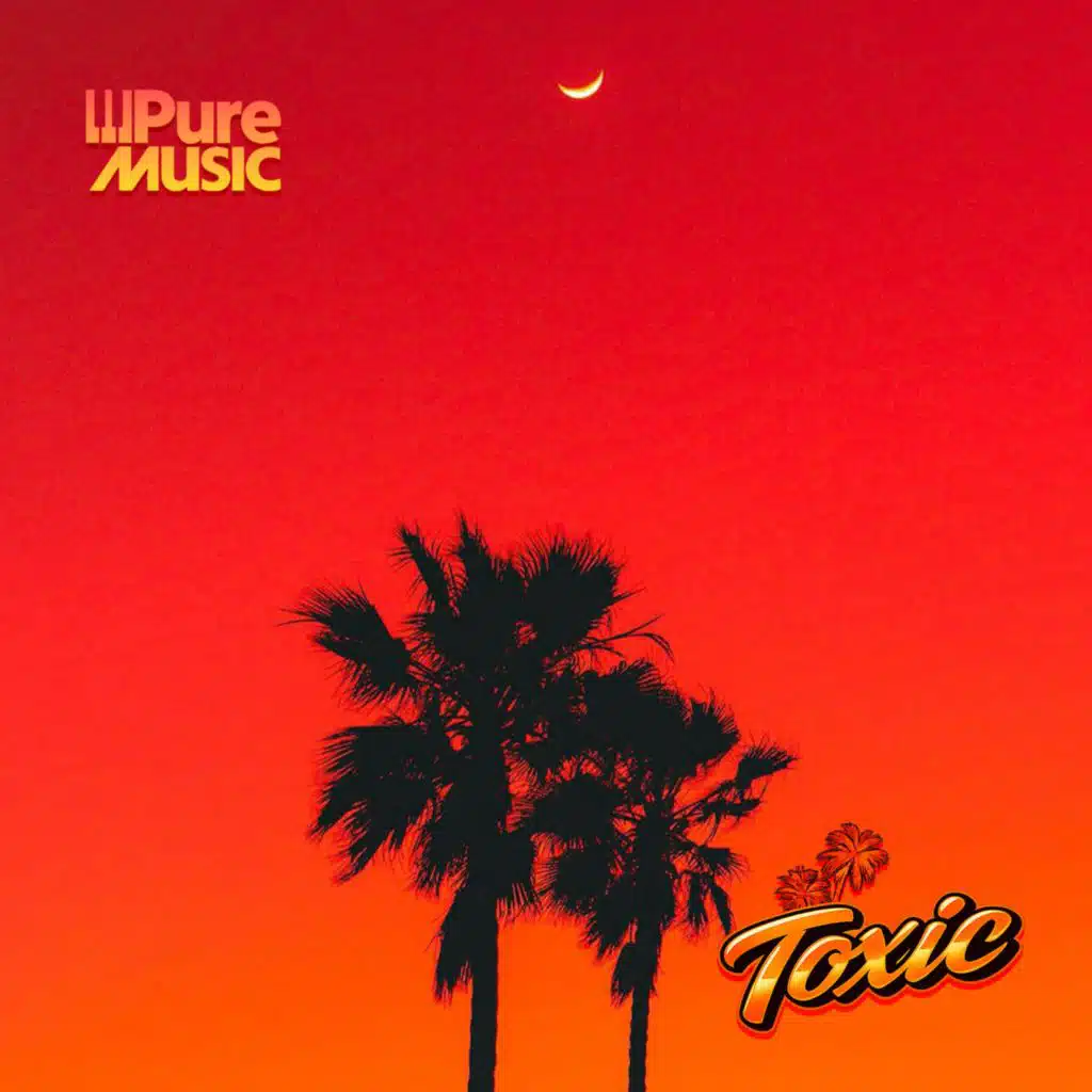 Pure Music