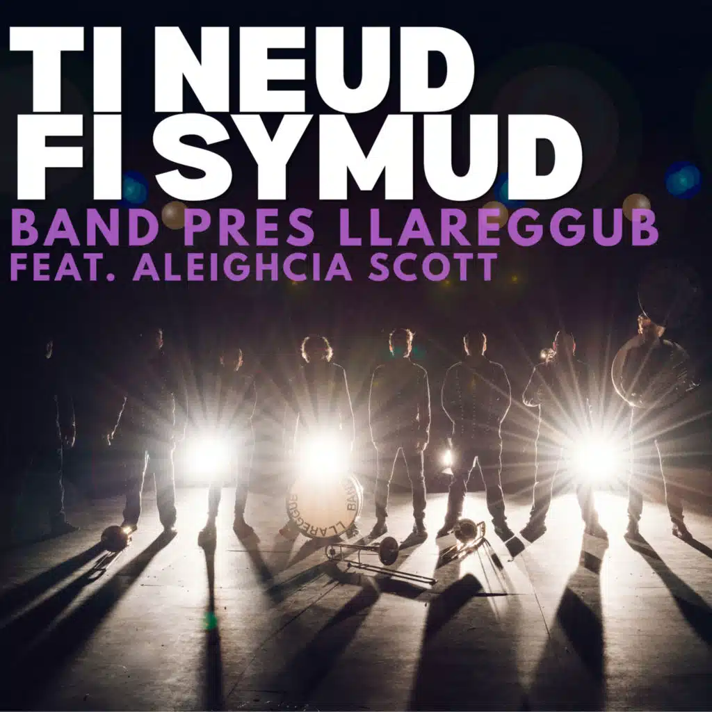 Band Pres Llareggub