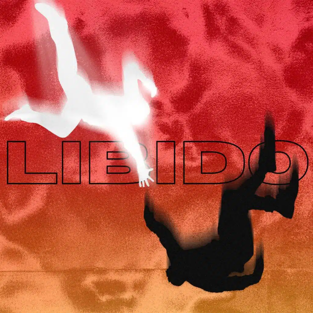 LIBIDO