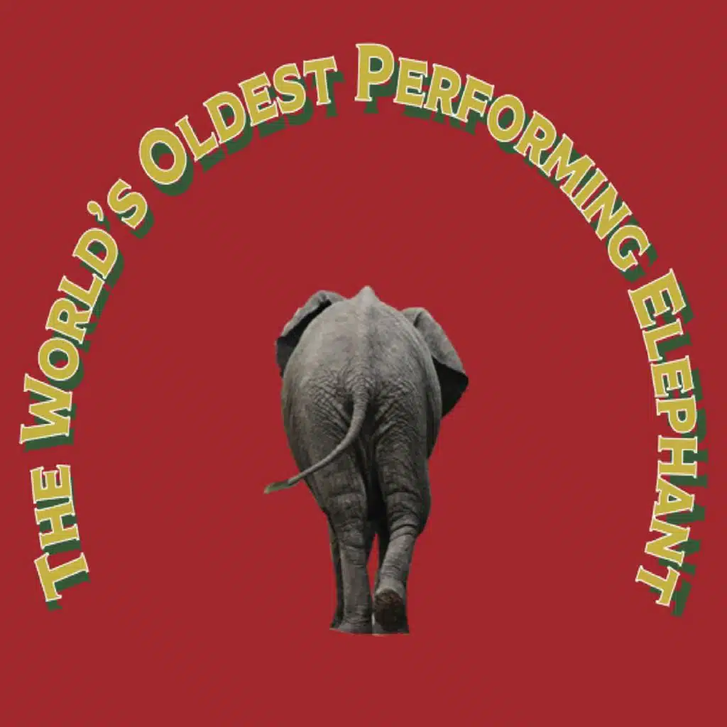 The World's Oldest Performing Elephant