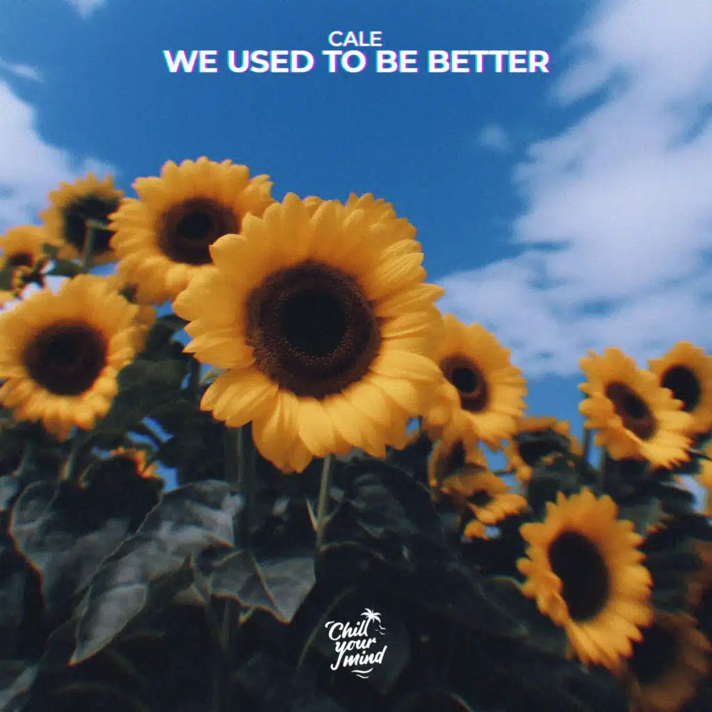 We Used To Be Better