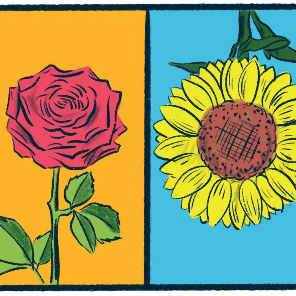 Roses vs. Sunflowers: A flowery debate