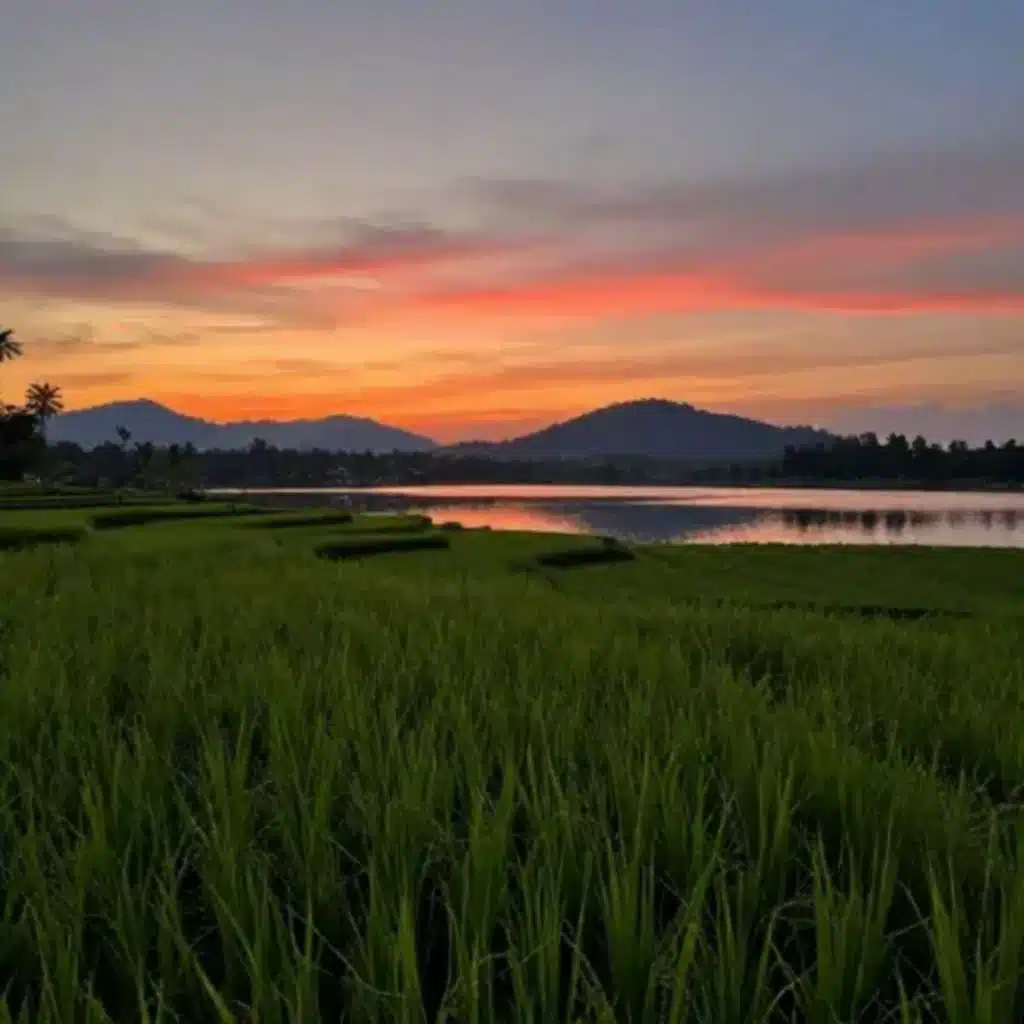 Jangan Tanyakan Lagi 1