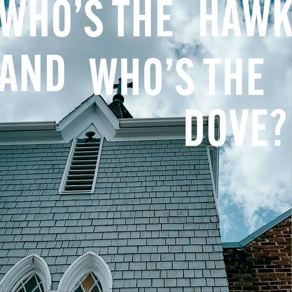 Mark Davis
