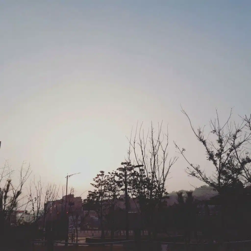 Sunset