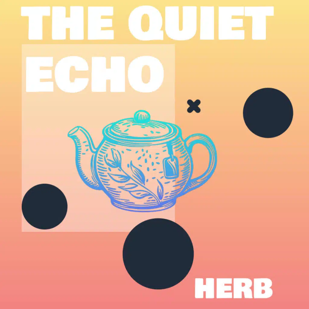 The Quiet Echo