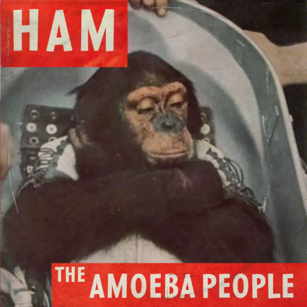 The Amoeba People