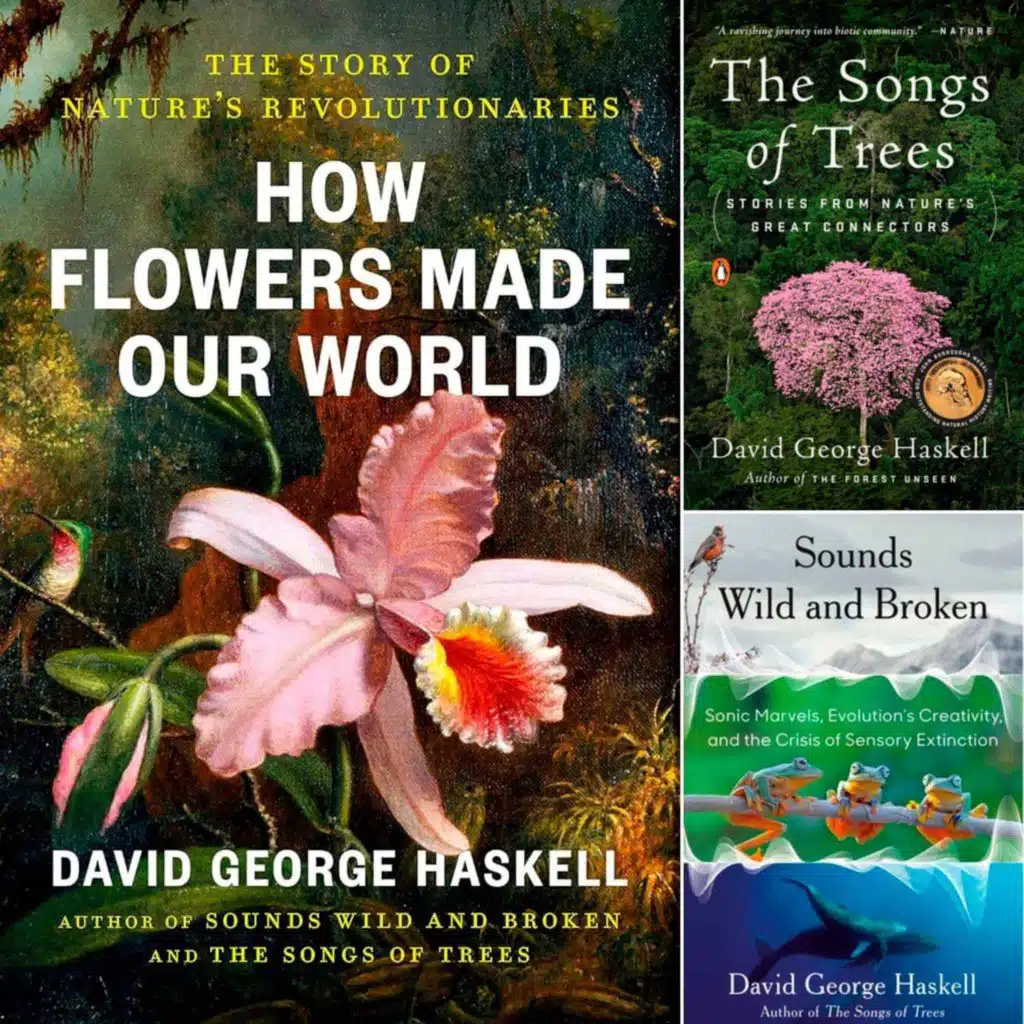 Listening to the Living World: Biologist DAVID GEORGE HASKELL on Flowers, Forests & Songs of Nature - Highlights