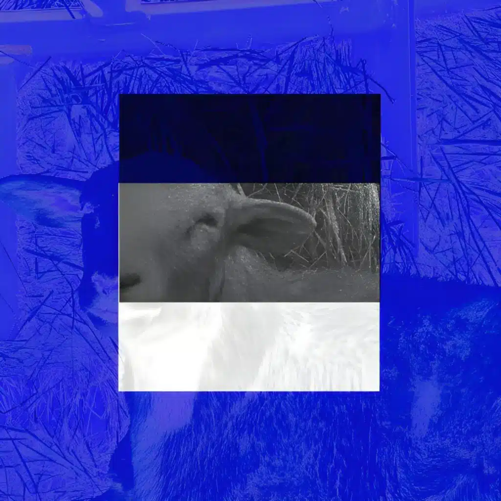 X10