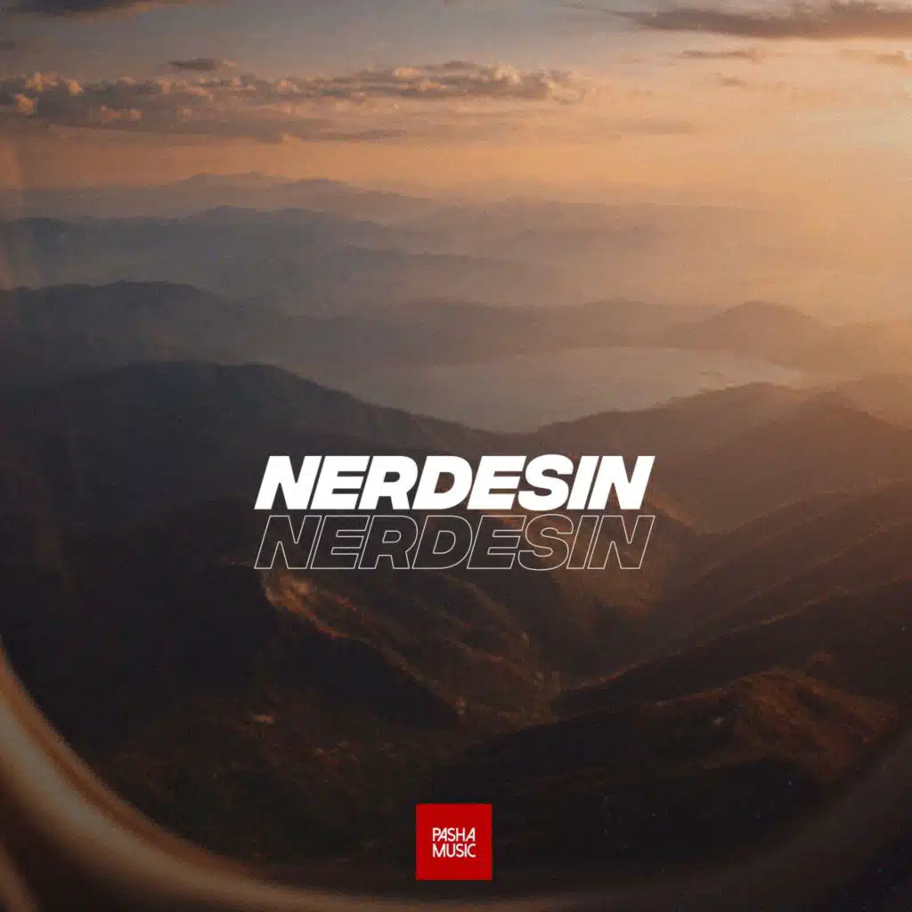 Nerdesin