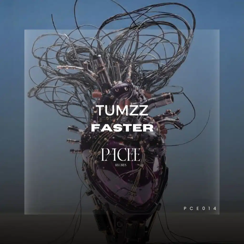 Tumzz