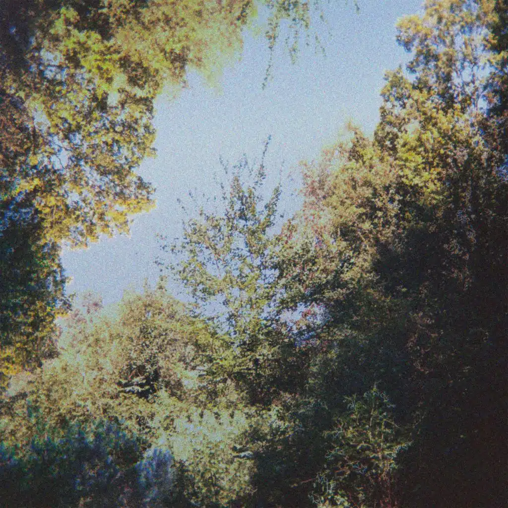 Electronic Visions
