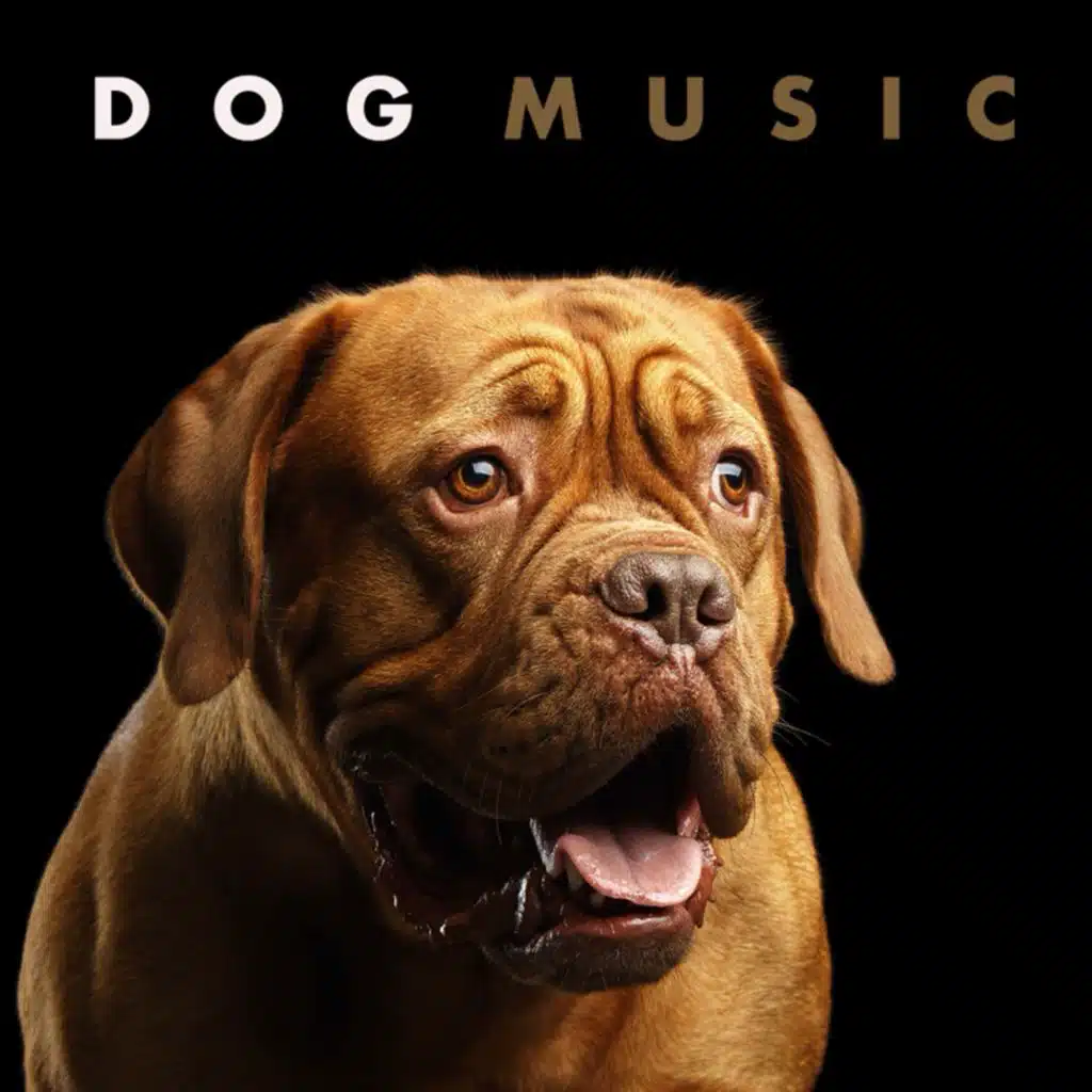Dog Music: Background Music For Dogs and Pet Music