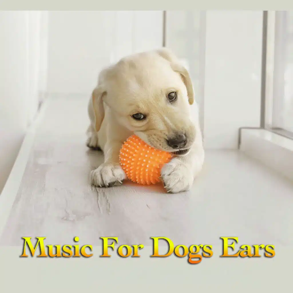 Music For Dogs Ears: Relaxing Dog Music and Pet Music
