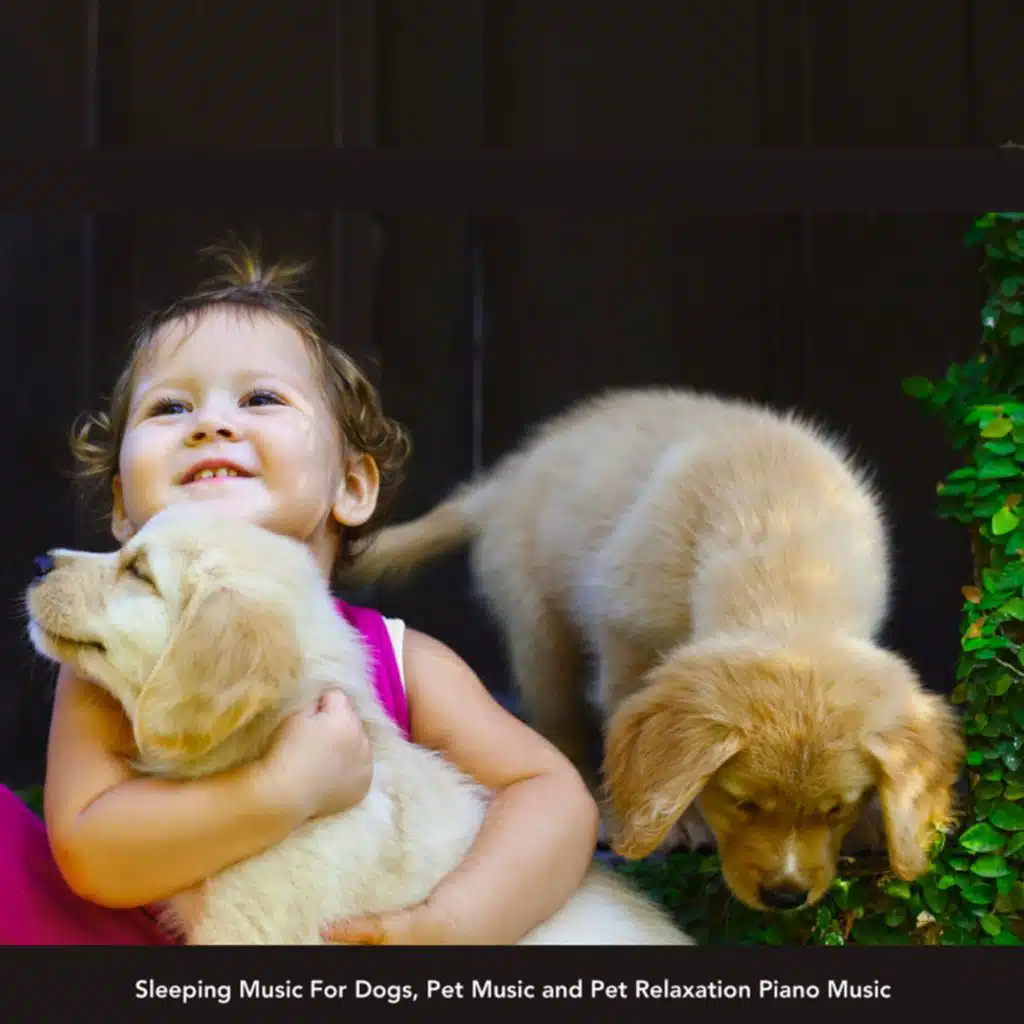 Dog Music: Sleeping Music For Dogs, Pet Music and Pet Relaxation Piano Music