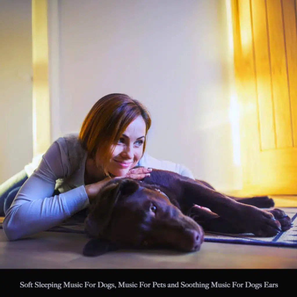 Dog Music: Soft Sleeping Music For Dogs, Music For Pets and Soothing Music For Dogs Ears
