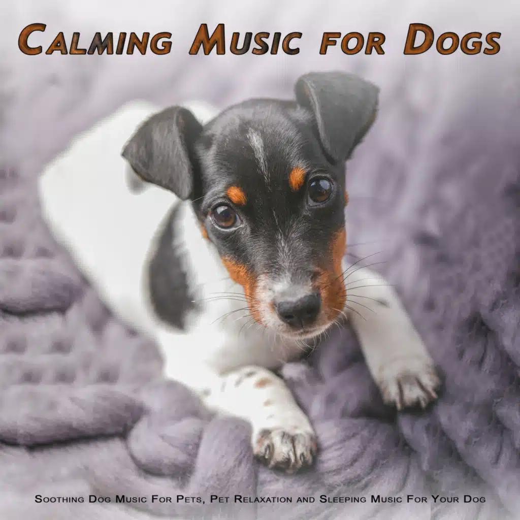 Calming Music For Dogs