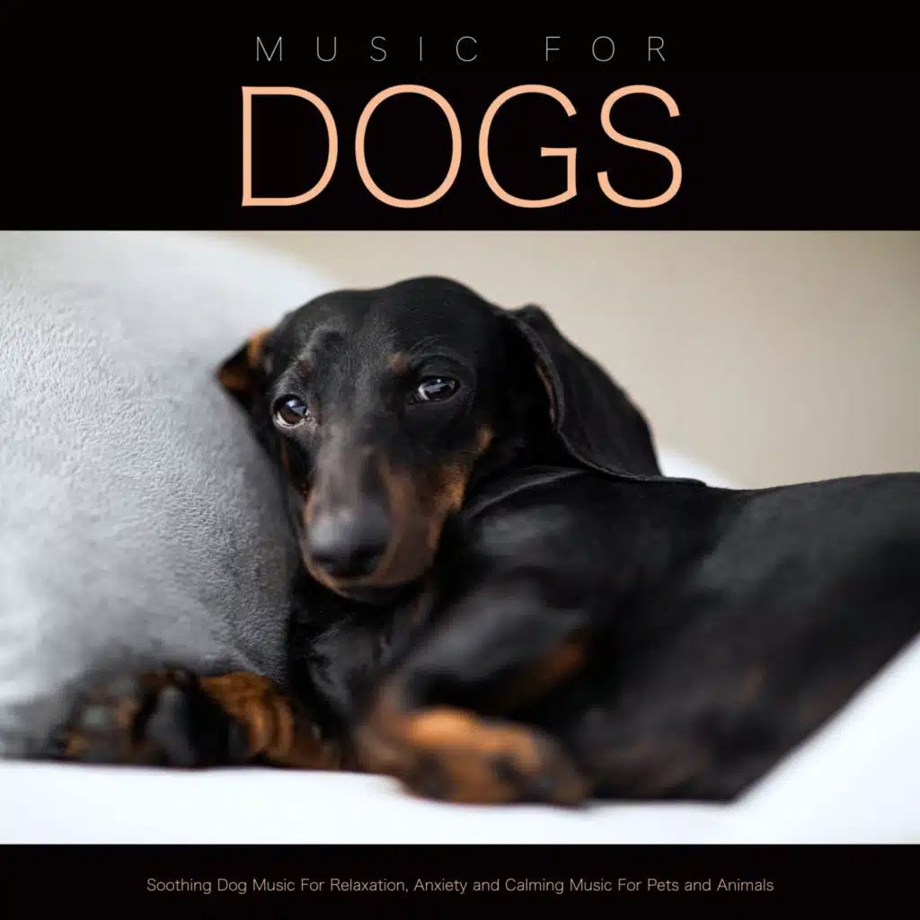 Relaxing Music for Pets